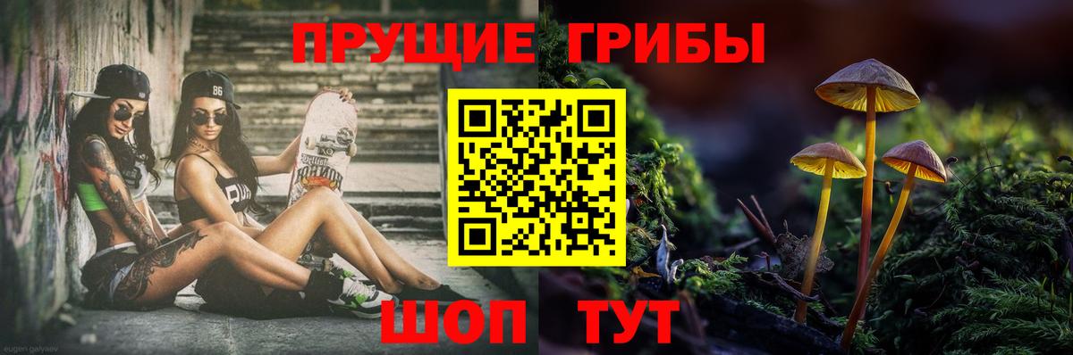 Псилоцибиновые грибы ЛСД  Галлюциногенные грибы мухоморы  Вход с VPN  Георгиевск 