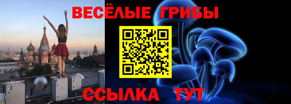 Галлюциногенные грибы GOLDEN TEACHER Георгиевск